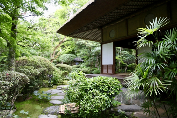 f:id:sekimeitiko:20201225193017p:plain