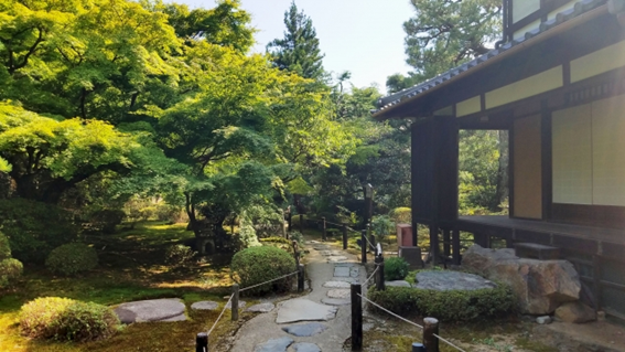 f:id:sekimeitiko:20210115150043p:plain