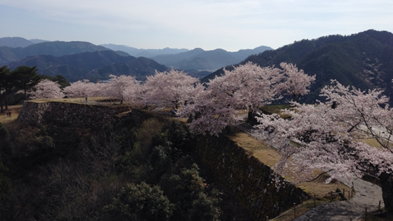 f:id:sekimeitiko:20210206140752p:plain