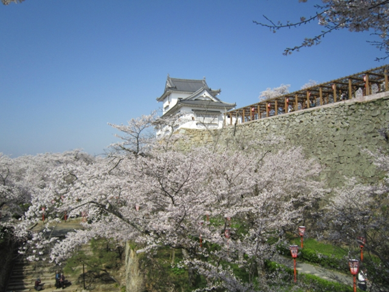 f:id:sekimeitiko:20210312191553p:plain