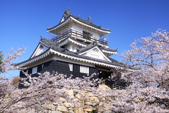 f:id:sekimeitiko:20210312192321p:plain
