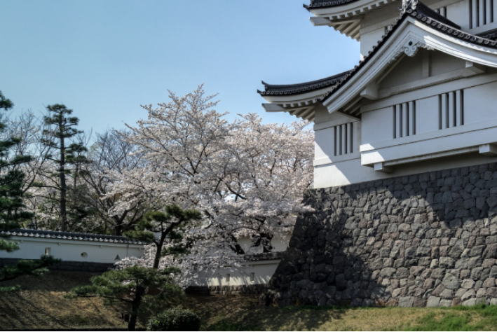 f:id:sekimeitiko:20210709161711p:plain