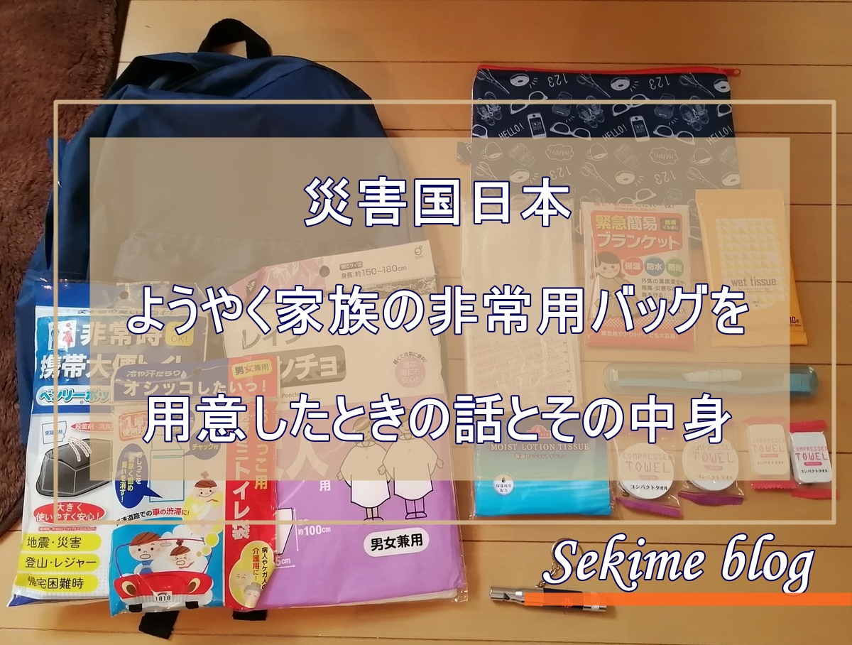 f:id:sekimeitiko:20210823114631j:plain