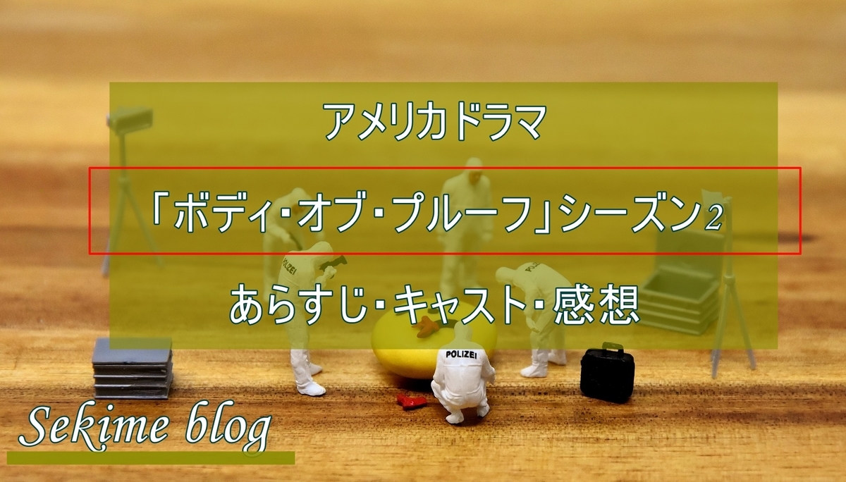 Dtv 海外ドラマ ボディ オブ プルーフ シーズン2 あらすじ キャスト 感想 Sekime Blog パニック障がいのwebライター アレコレ語る