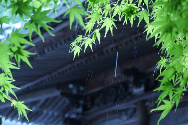 神社やお寺の参拝中に雨が降ってきたら? その意味と捉え方 - 関西阪急沿線神社仏閣巡りblog