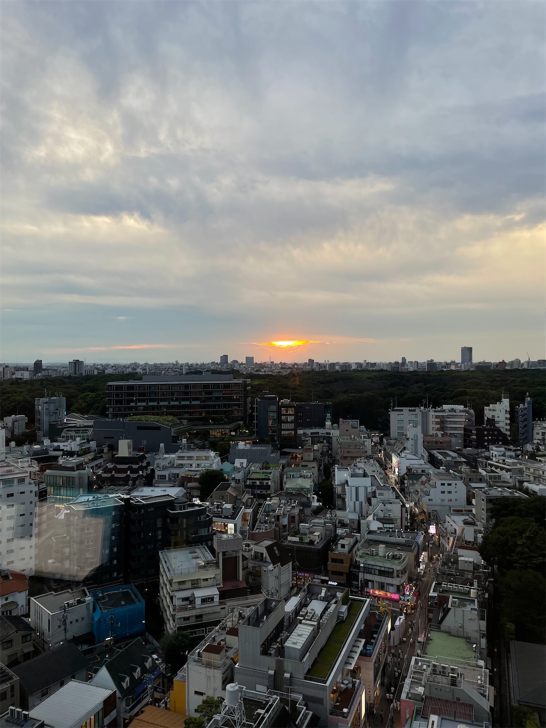 f:id:sekisho:20210826234102j:image