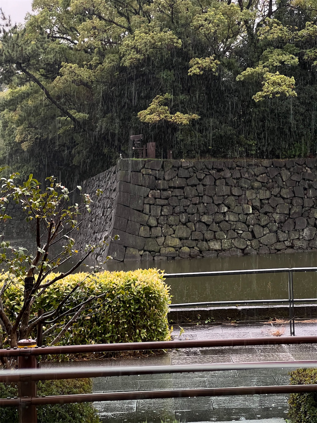 f:id:sekisho:20230322213301j:image