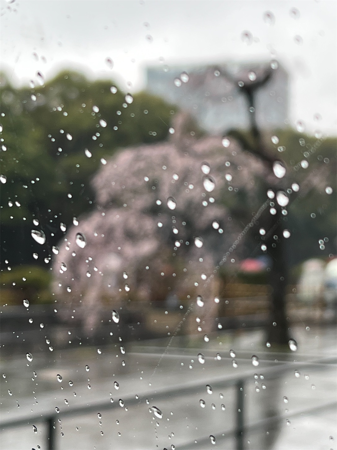 f:id:sekisho:20230322213306j:image