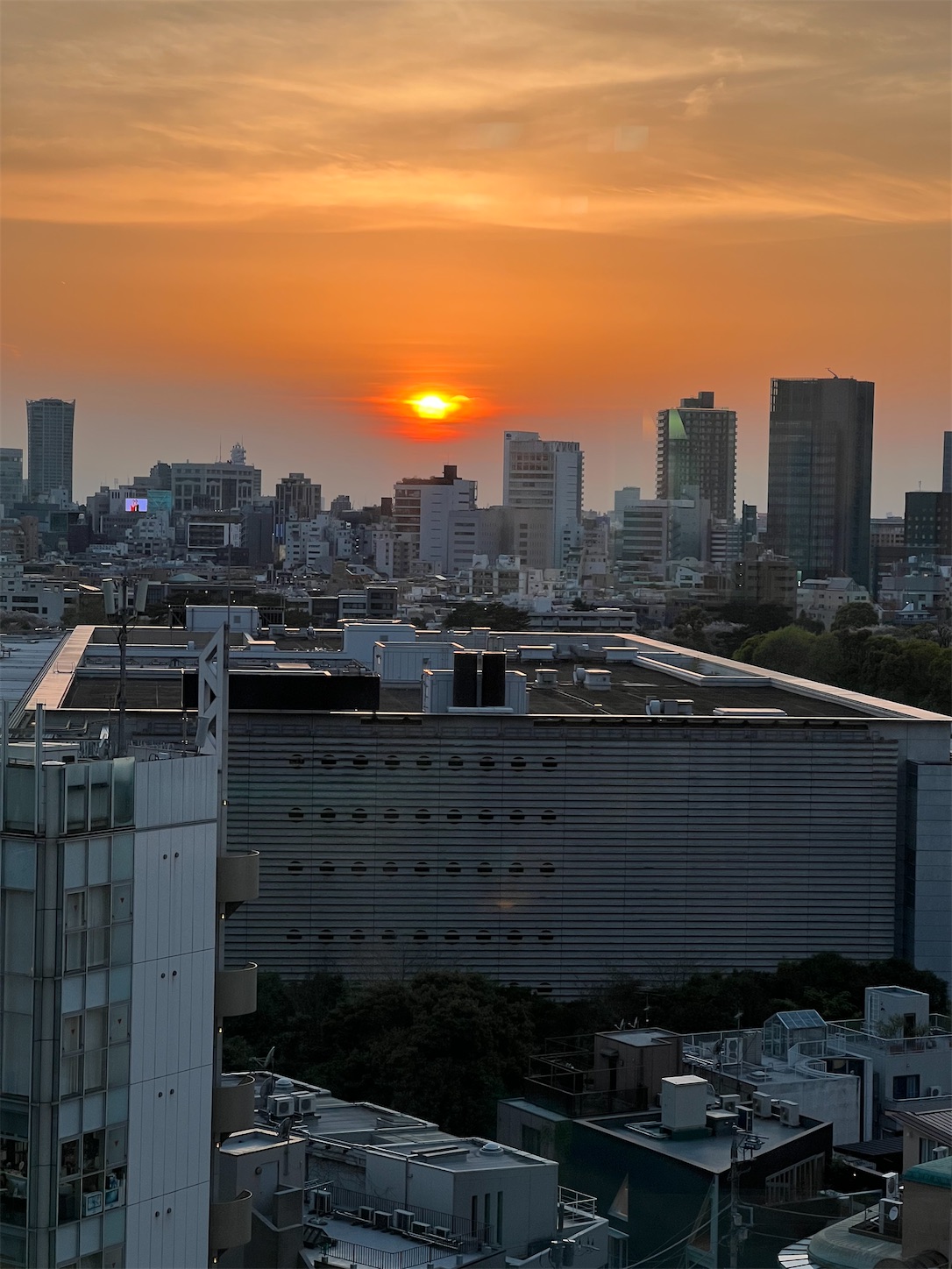 f:id:sekisho:20230406092911j:image