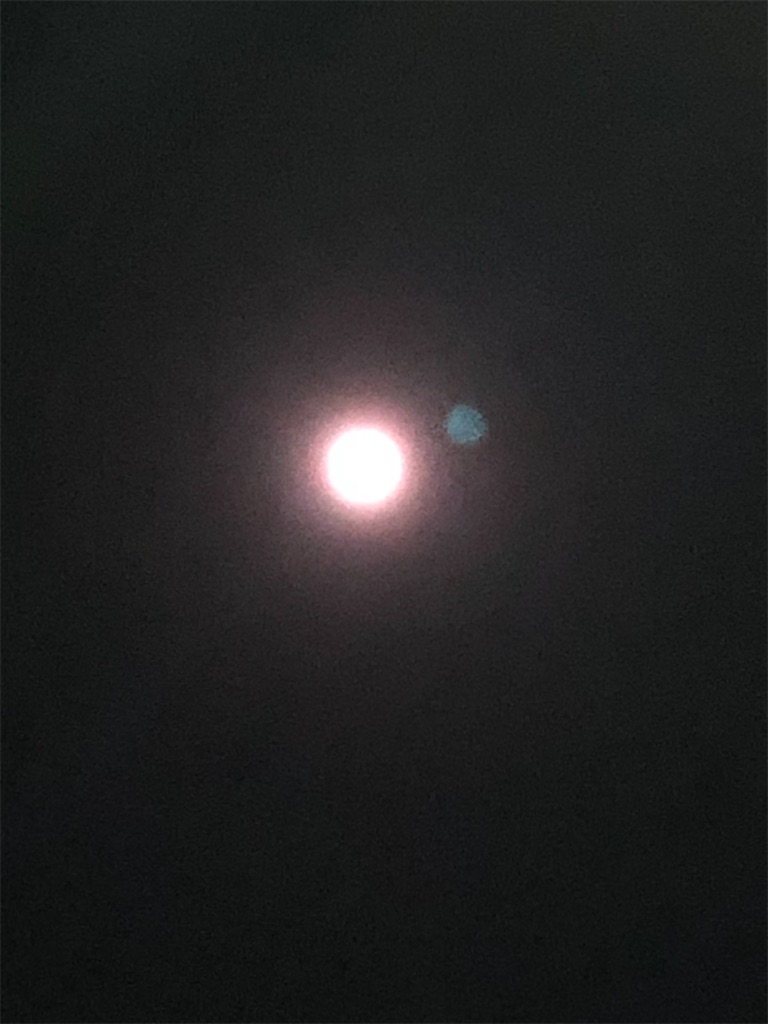 f:id:sekitoba1007:20191213103220j:image f:id:sekitoba1007:20191213103220j:image
