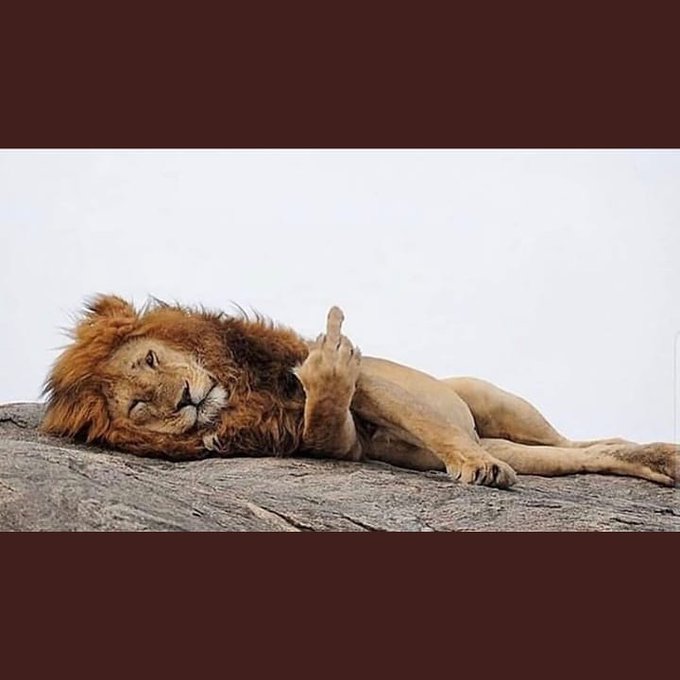 f:id:sekitoba1007:20191228144413j:plain f:id:sekitoba1007:20191228144413j:plain