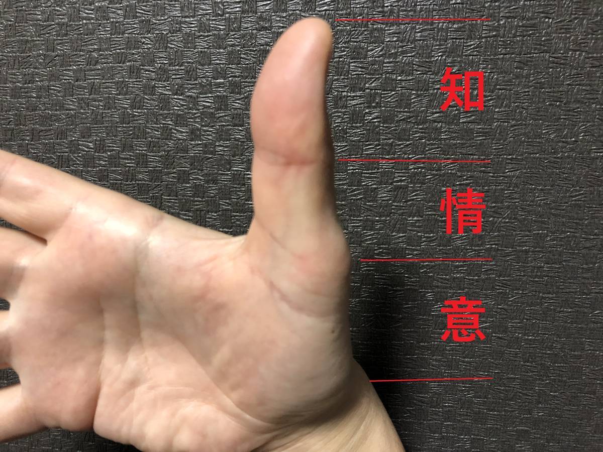 f:id:sekitoba1007:20210130232410j:plain