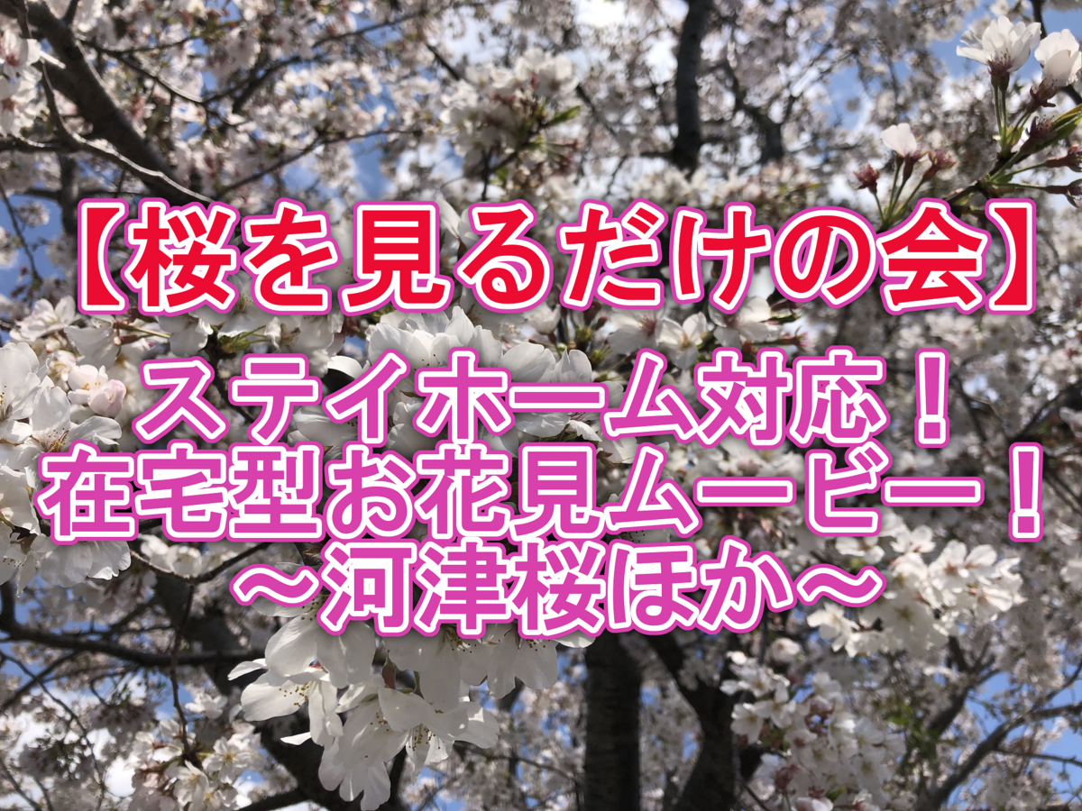 f:id:sekitoba1007:20210906213433p:plain