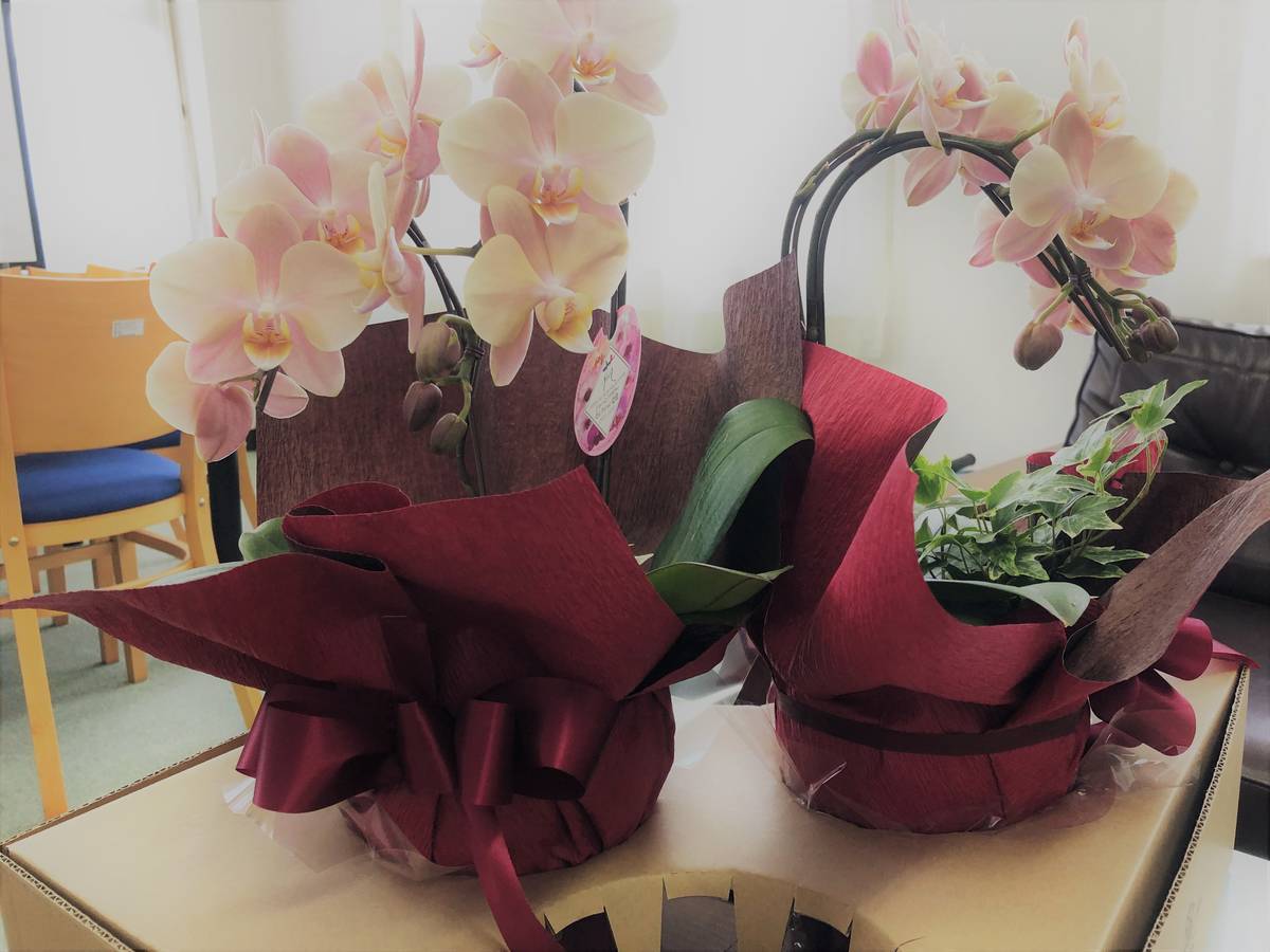 f:id:sekitoba1007:20220330182913j:plain