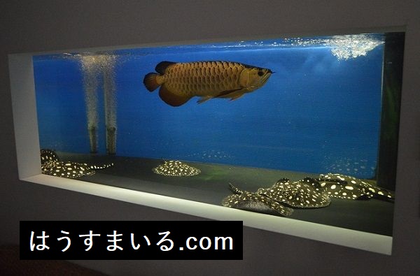 f:id:sekkachipapa:20160916143028j:plain f:id:sekkachipapa:20160916143028j:plain