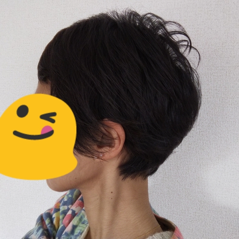 f:id:sekkaku1985:20210326132925j:plain