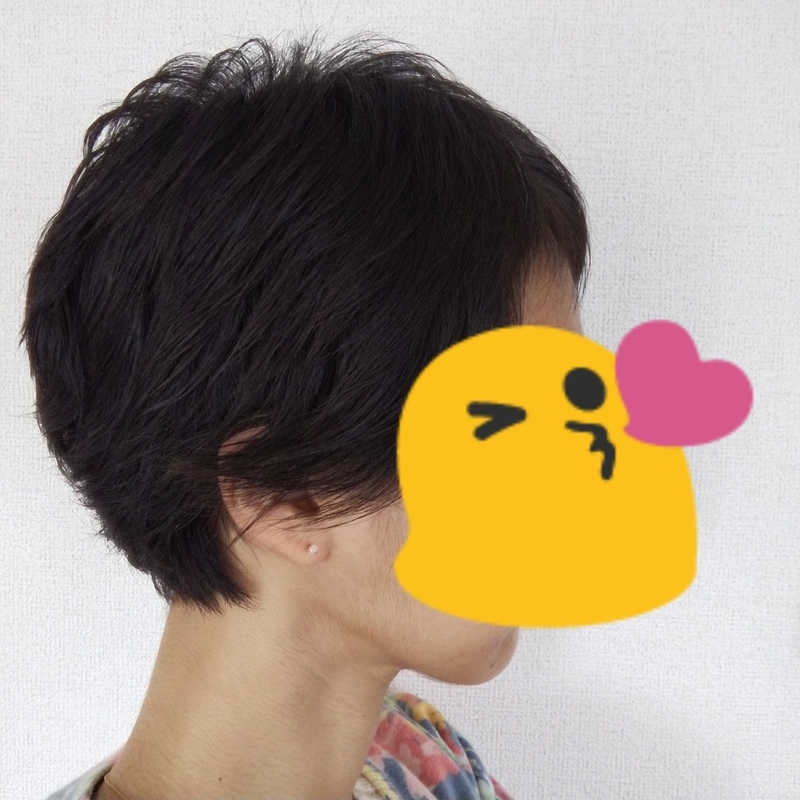 f:id:sekkaku1985:20210326132942j:plain