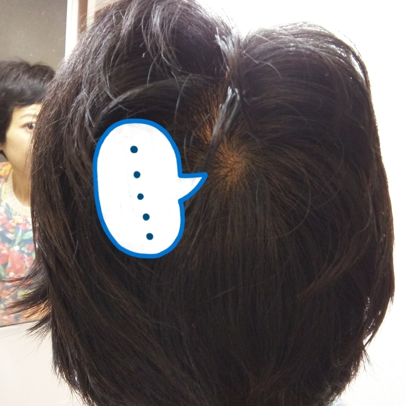 f:id:sekkaku1985:20210326133002j:plain