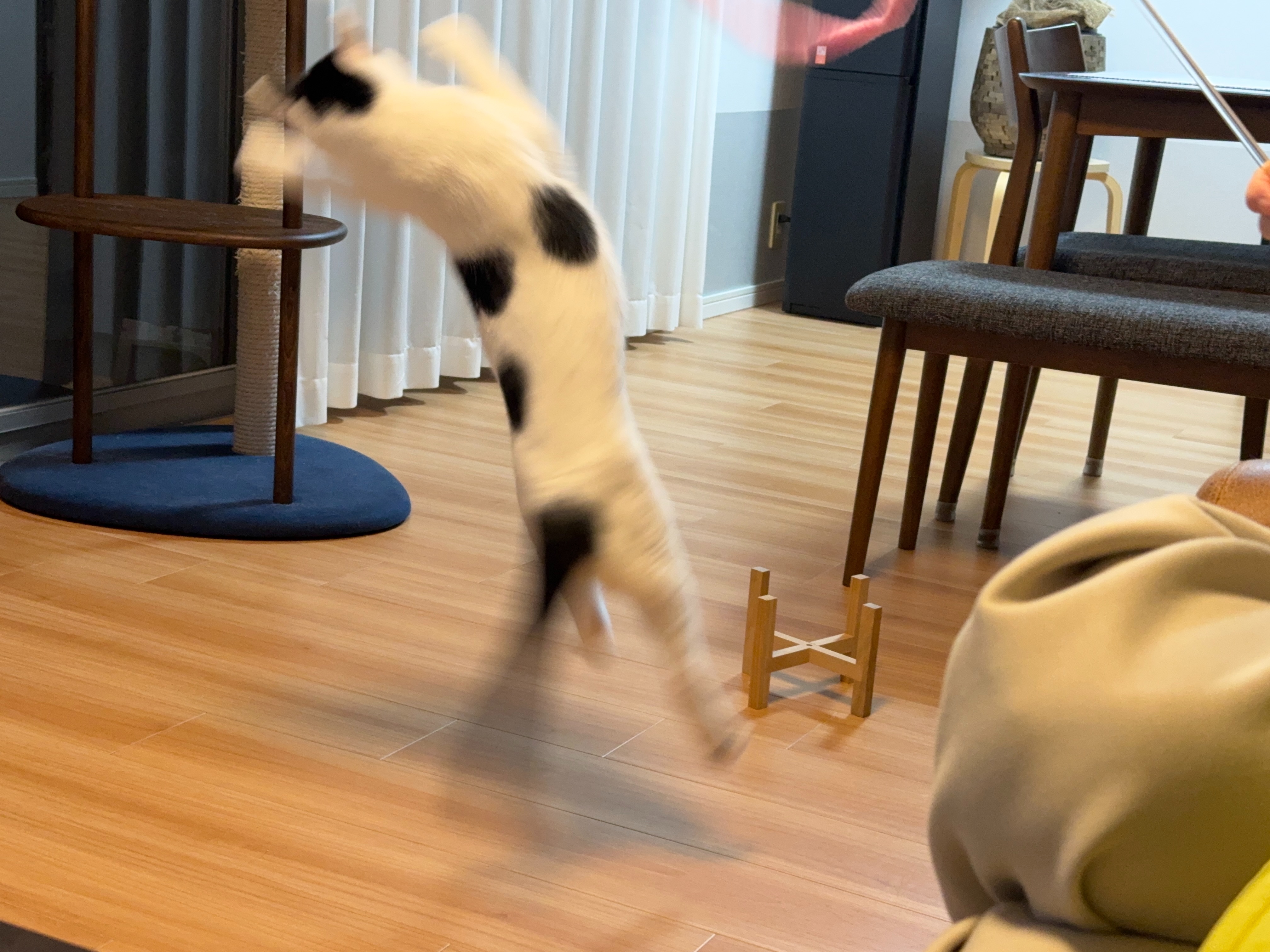 f:id:sekkenchang:20250825112043j:image