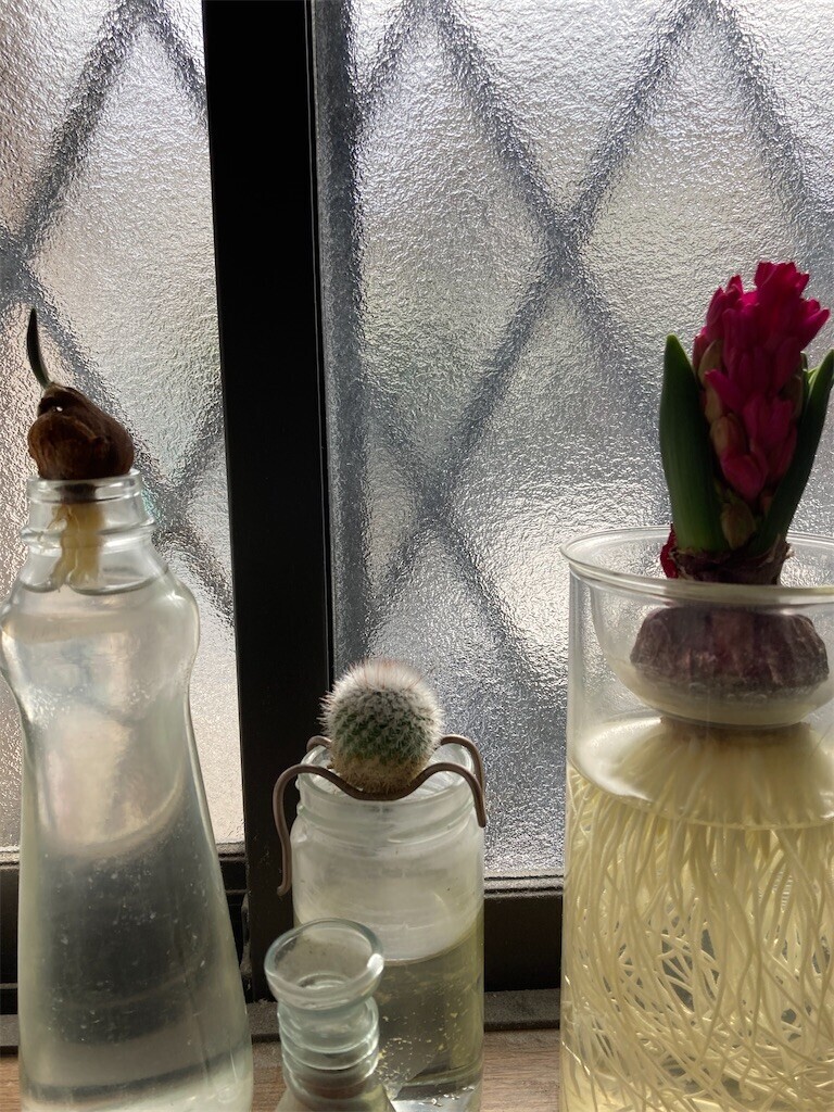 f:id:sekreto:20240205112934j:image