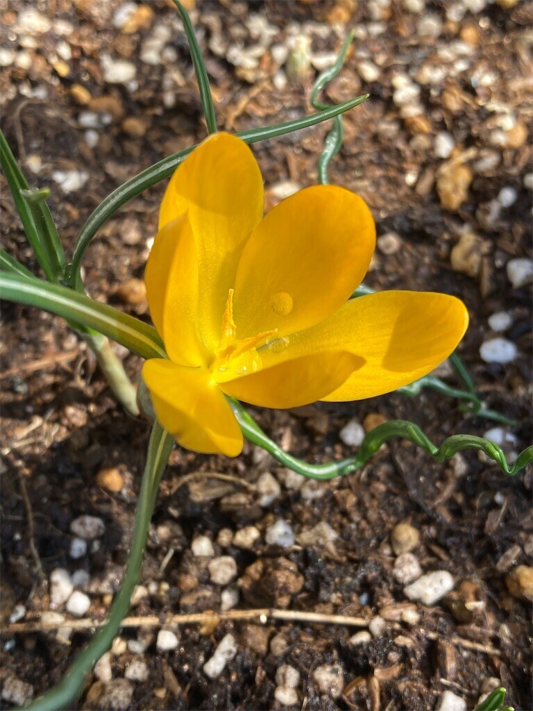 f:id:sekreto:20250309185654j:image