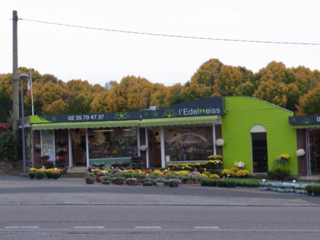 f:id:selavy:20111101190301j:image
