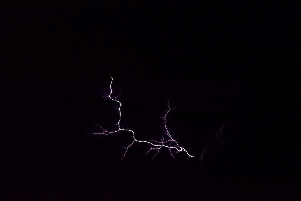 f:id:selelab:20190424022213j:image f:id:selelab:20190424022213j:image