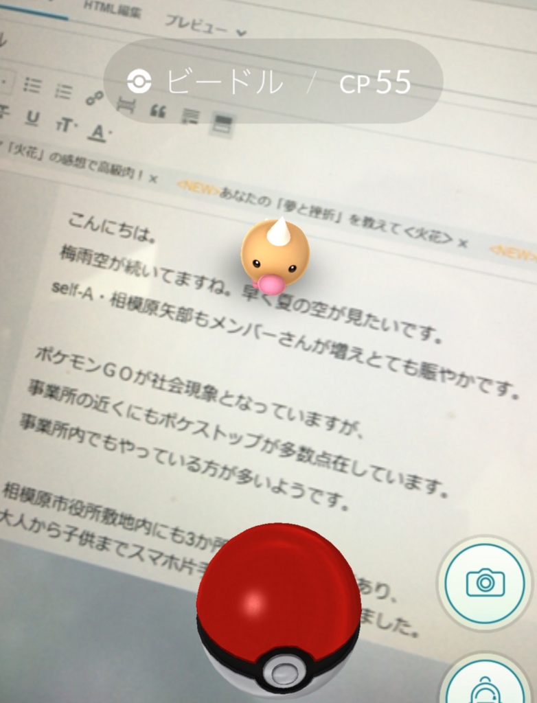 f:id:self-A-yabe:20160726115350j:plain f:id:self-A-yabe:20160726115350j:plain