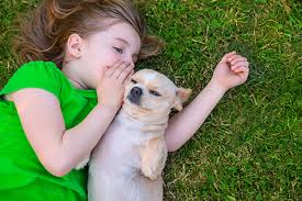 f:id:selfcare:20180119163331j:plain f:id:selfcare:20180119163331j:plain