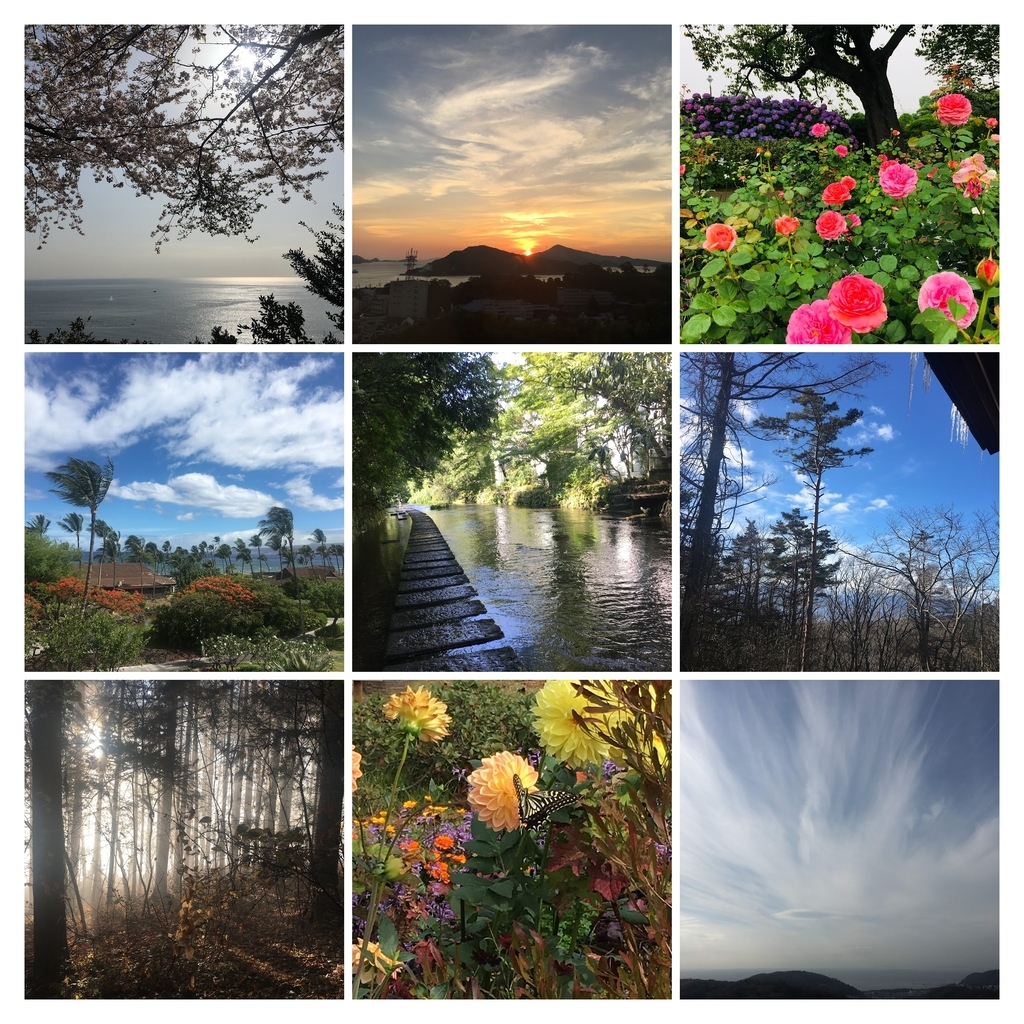 f:id:selfill:20181230112247j:plain f:id:selfill:20181230112247j:plain