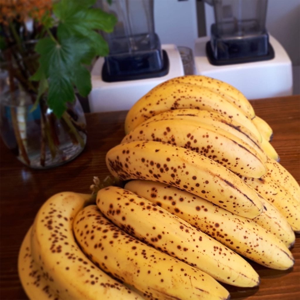 f:id:selfmaintenance:20190710102634j:image