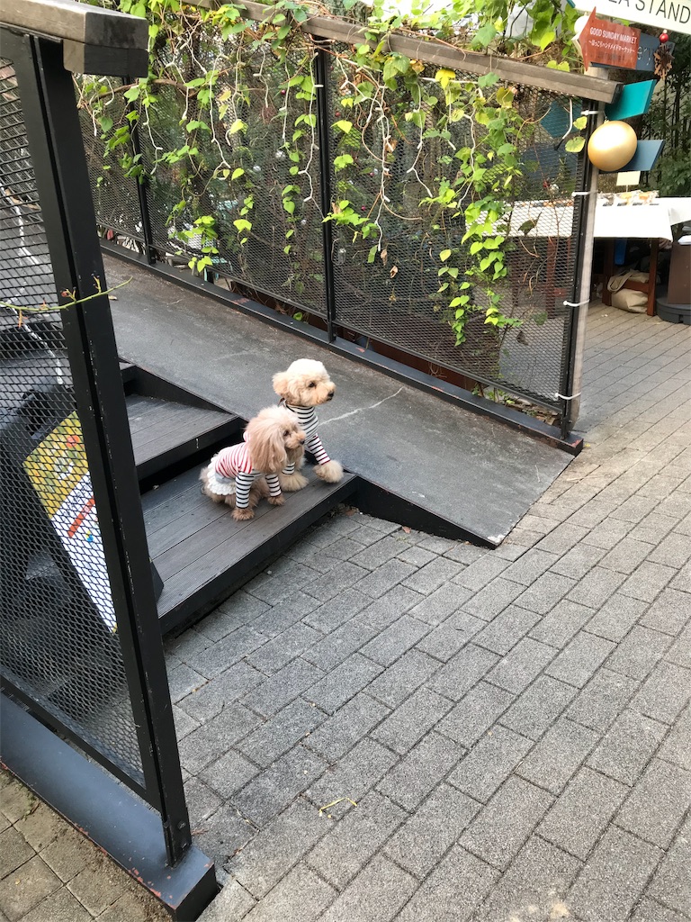 f:id:selfmaintenance:20191124164450j:image