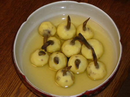 f:id:selimbong:20091231092610j:image