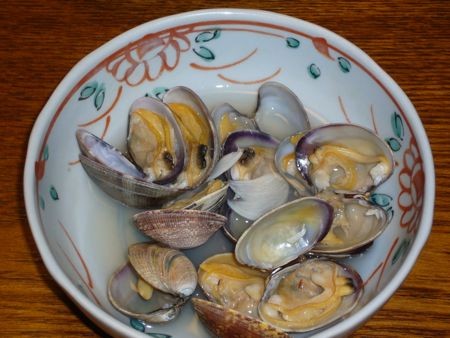 f:id:selimbong:20110206181333j:image
