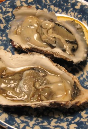 f:id:selimbong:20120102190447j:image