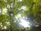 070524-a
