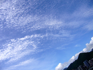 f:id:selmel:20070731000353j:image f:id:selmel:20070731000353j:image