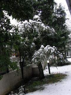 f:id:selmel:20080203092526j:image