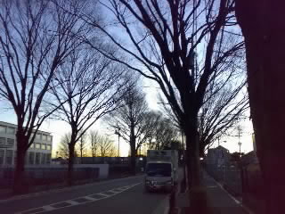 f:id:selmel:20080225060848j:image