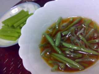 f:id:selmel:20080616211928j:image