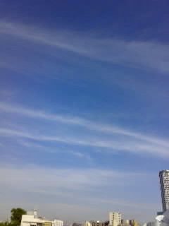 f:id:selmel:20080624161510j:image