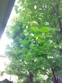 20080719171856