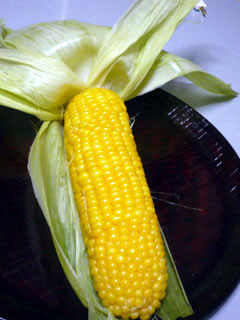 f:id:selmel:20080812204541j:image f:id:selmel:20080812204541j:image