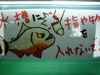 f:id:selmel:20081215153526j:image