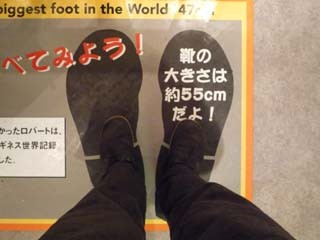 f:id:selmel:20081215153528j:image