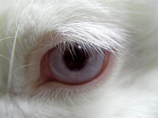 f:id:selmel:20081228130846j:image