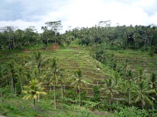 f:id:selmel:20090301231008j:image f:id:selmel:20090301231008j:image