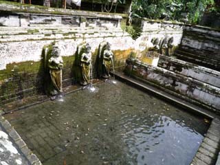 f:id:selmel:20090301231010j:image f:id:selmel:20090301231010j:image