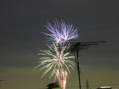 f:id:selmel:20090805212730j:image f:id:selmel:20090805212730j:image