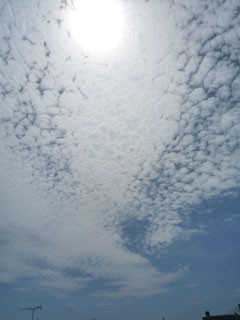 f:id:selmel:20090828121835j:image